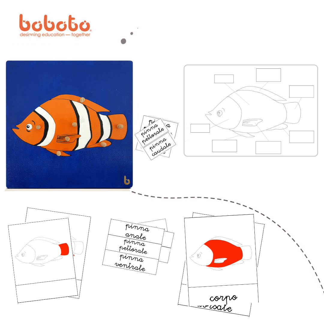 Kit Biology: Fish kit